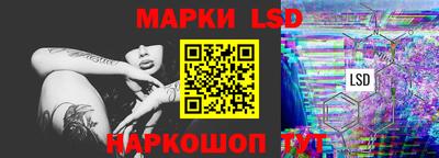 a pvp Славгород
