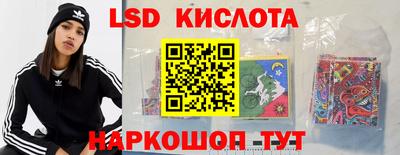a pvp Славгород