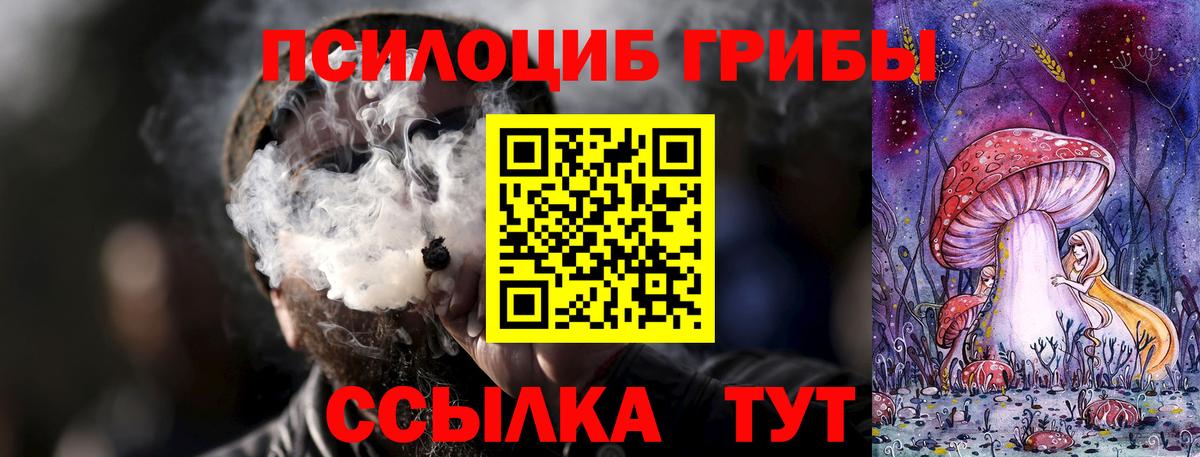 Псилоцибиновые грибы прущие грибы Нижнеудинск