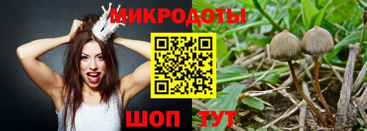 Нижнеудинск  Псилоцибиновые грибы Magic Shrooms  сколько стоит  Вход с VPN  Галлюциногенные грибы мицелий 